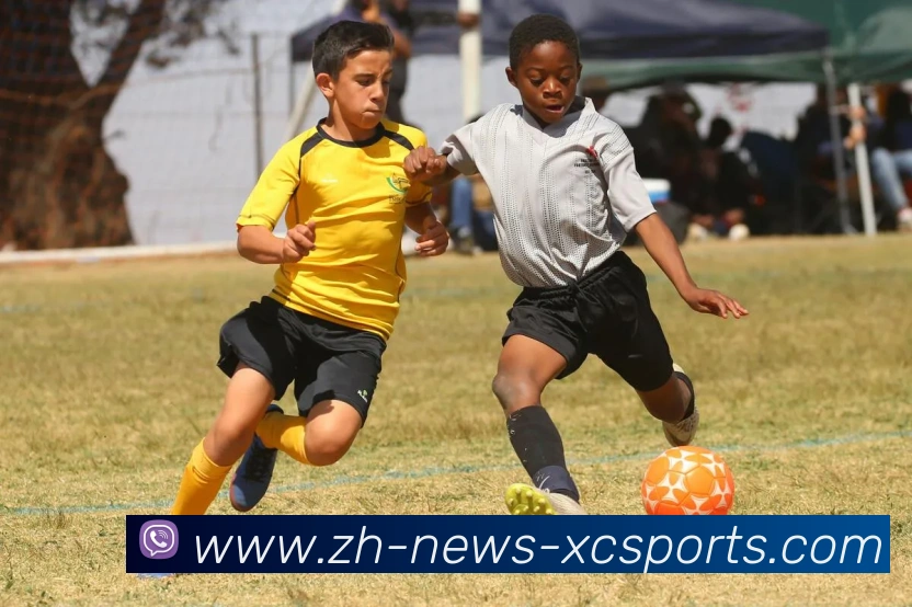 杏彩体育APP 封面图